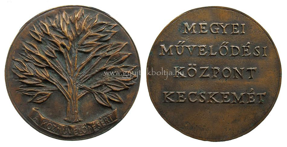 Jov�novics Gy�rgy: K�zm�vel�d�s�rt jutalom�rem / Megyei M�vel�d�si K�zpont Kecskem�t /1978/